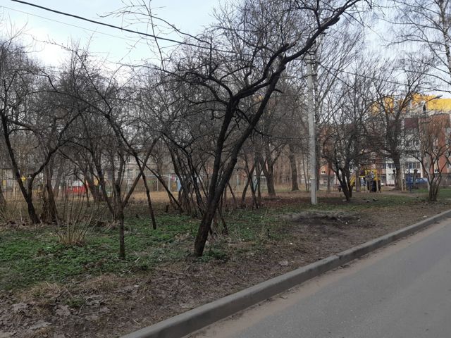 Territory