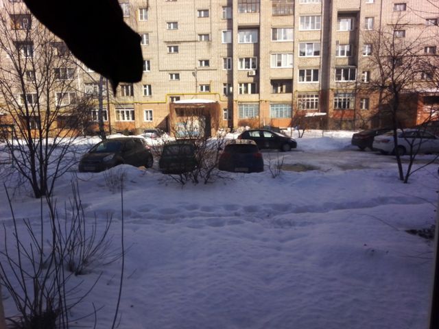 фото дома