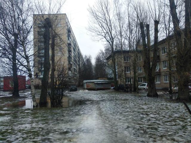 Панорама дома