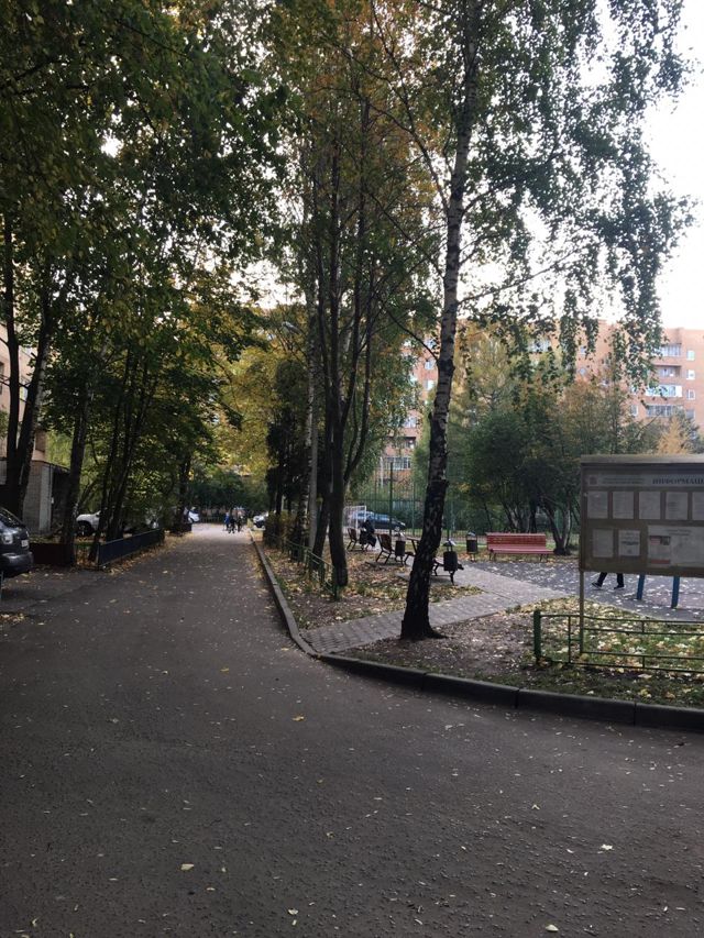 Панорама дома