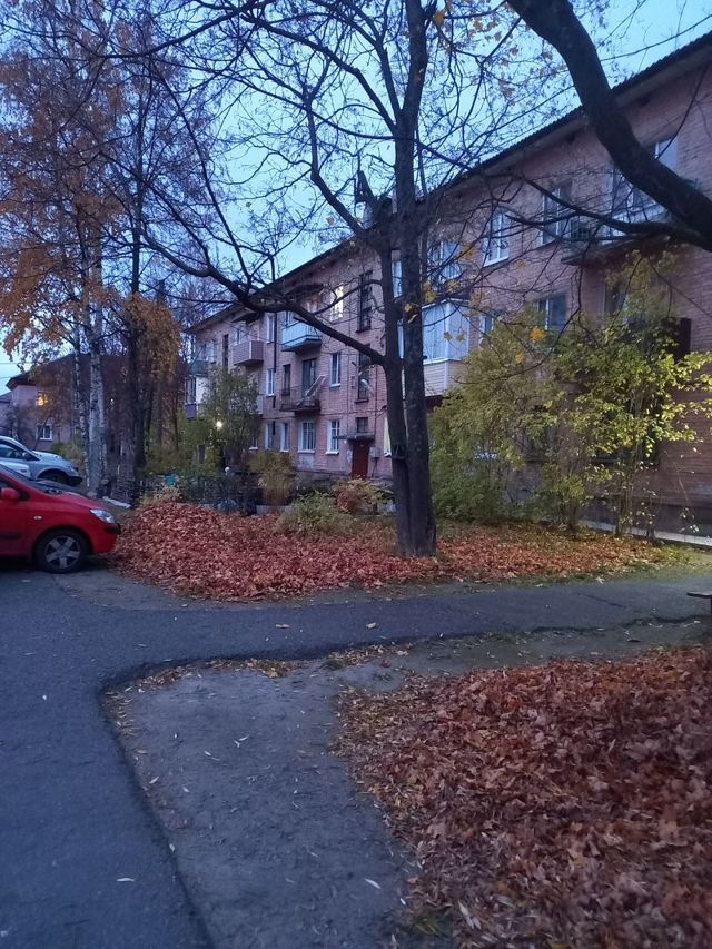 Territory