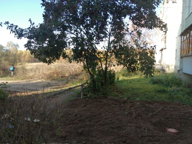 Territory