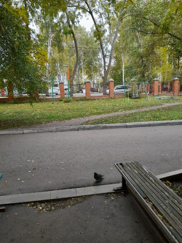 Territory