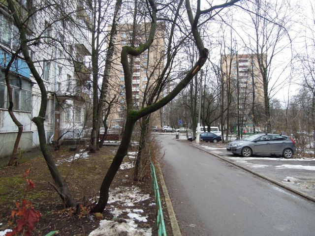 Territory
