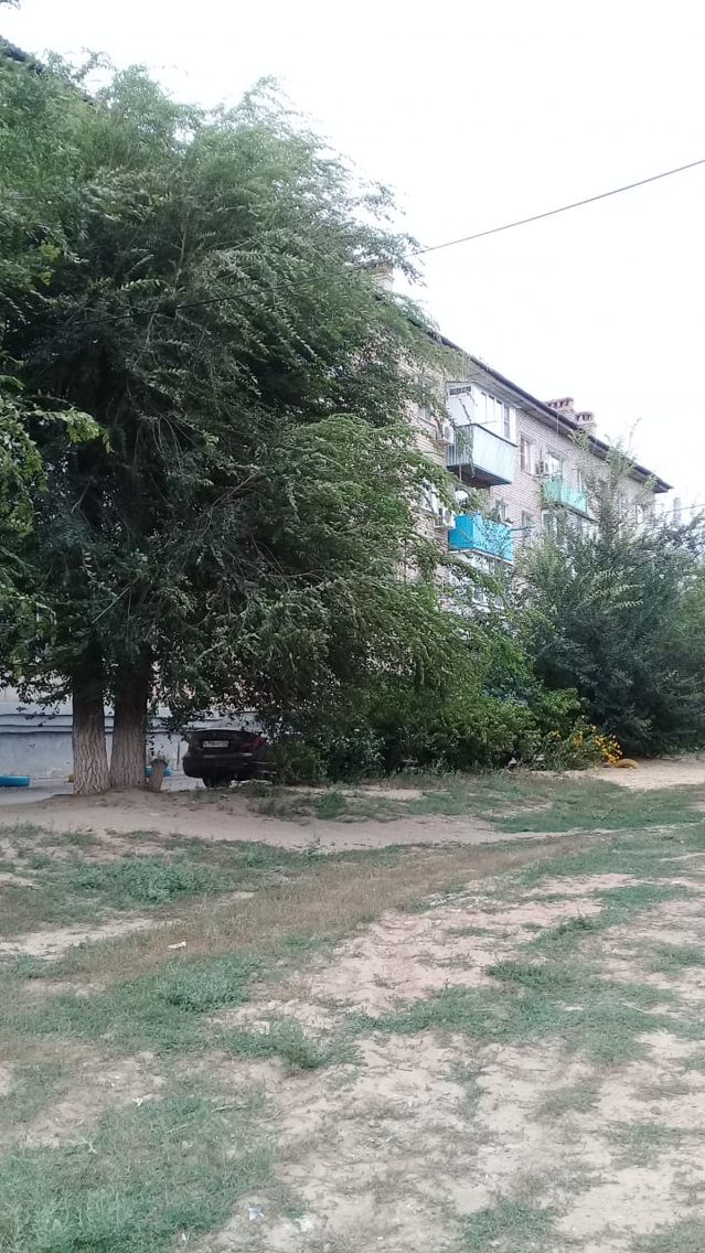 Territory