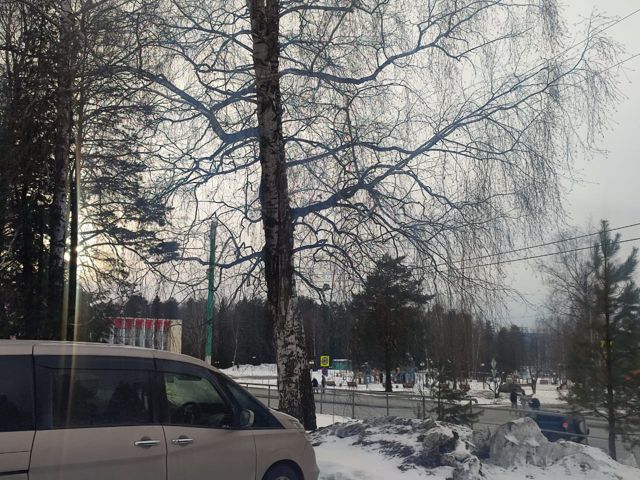 Territory