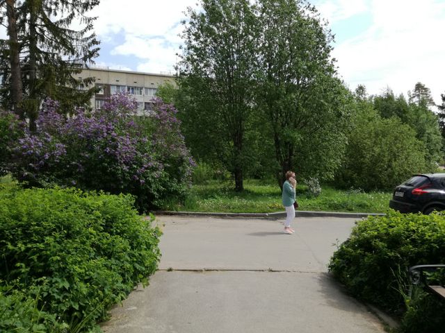 Territory