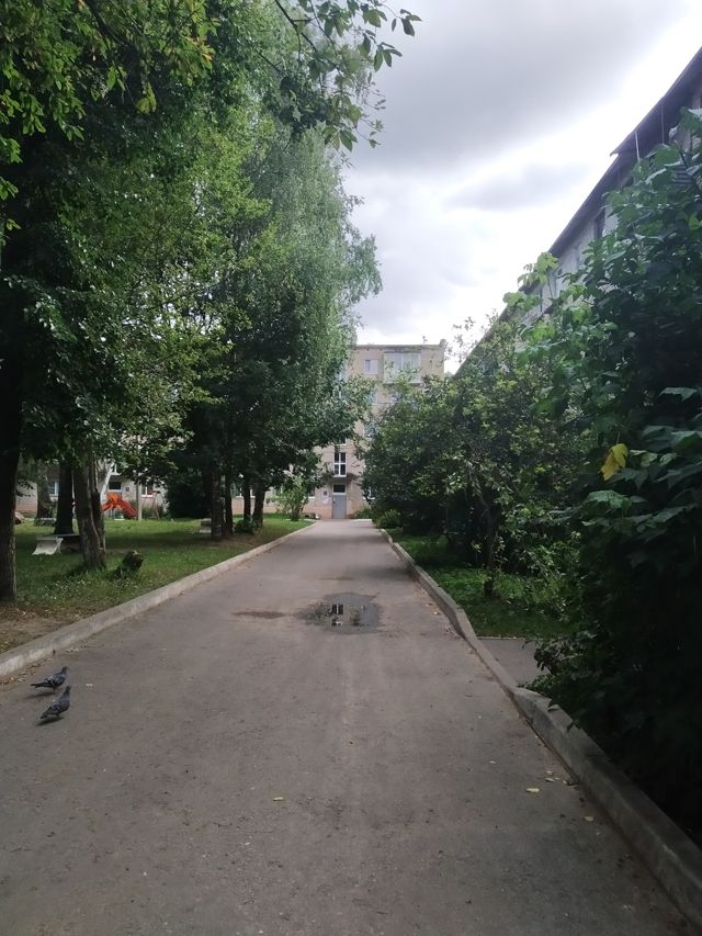 Territory