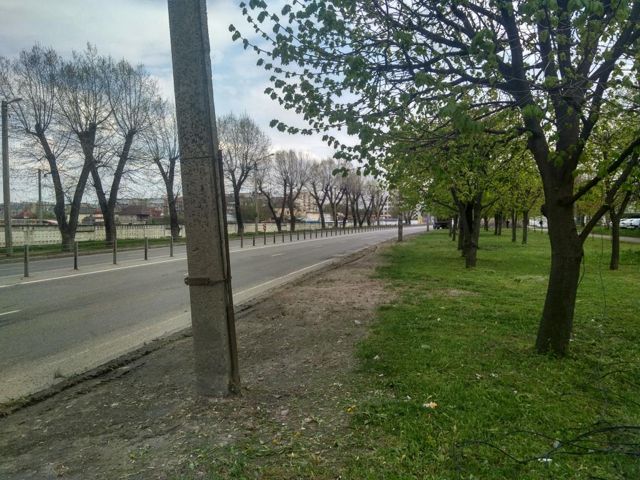 Territory