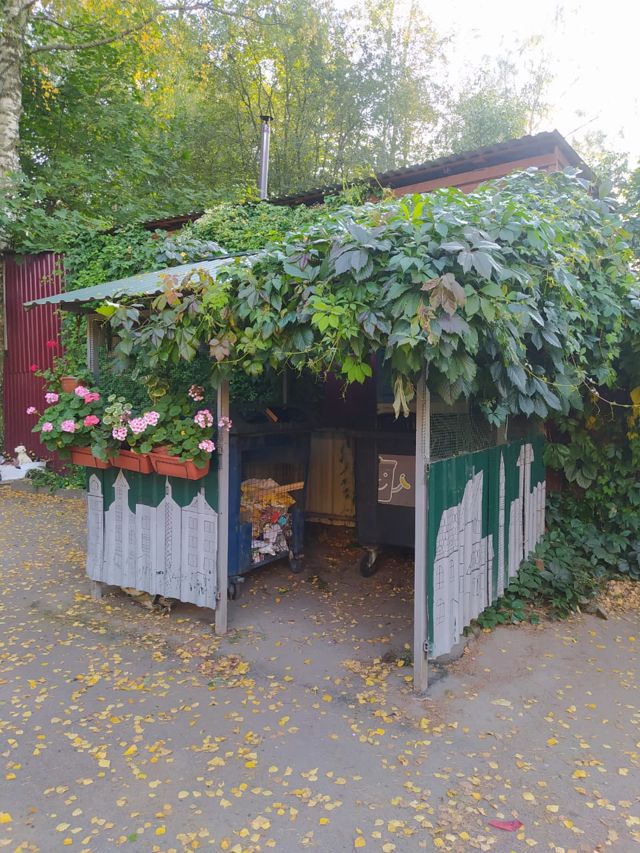 Панорама дома