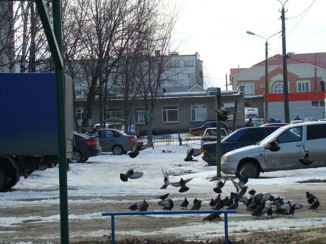 Territory
