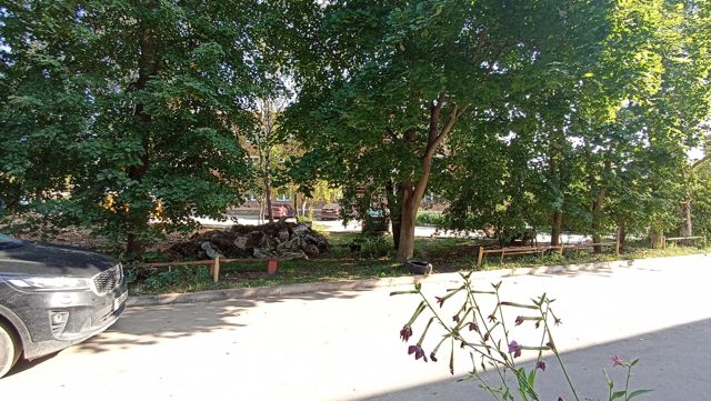 Territory