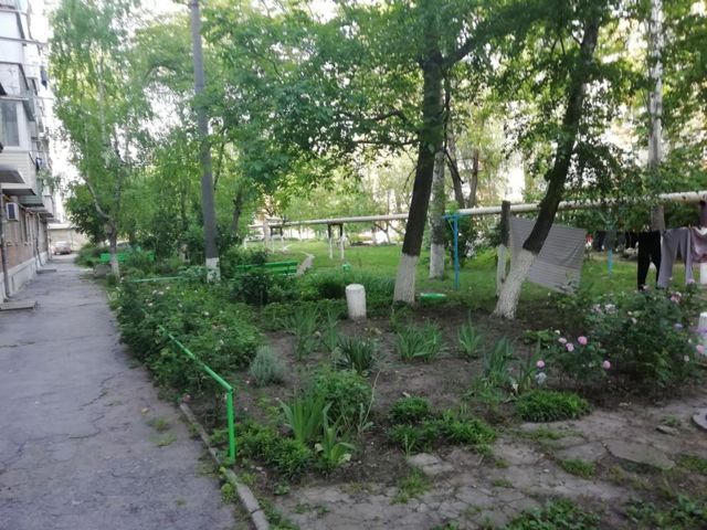 Territory