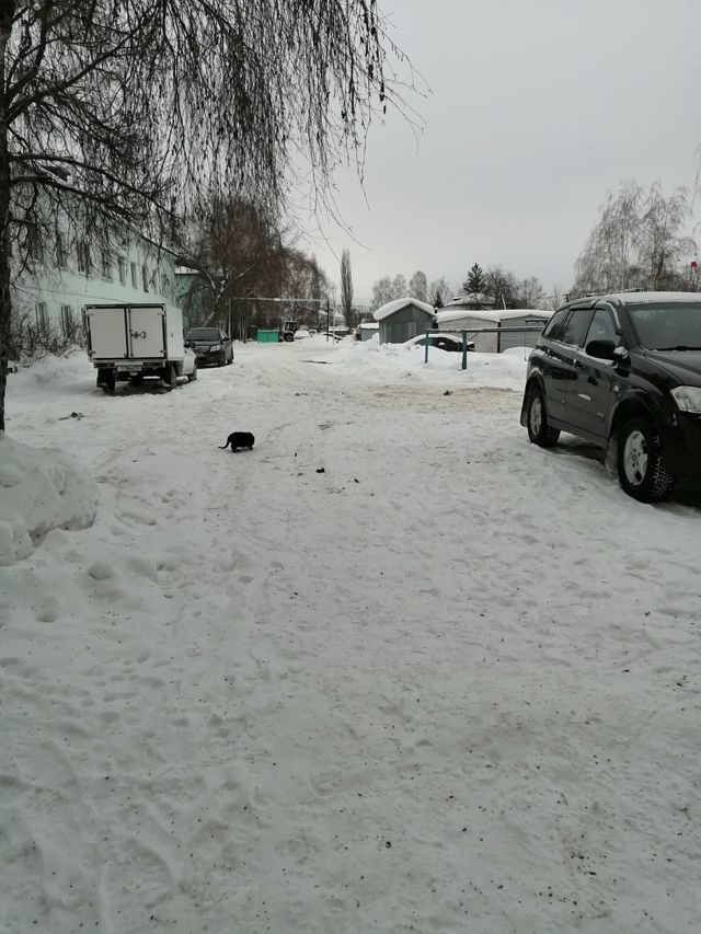 Territory