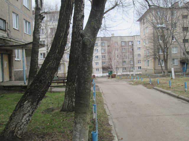 Territory