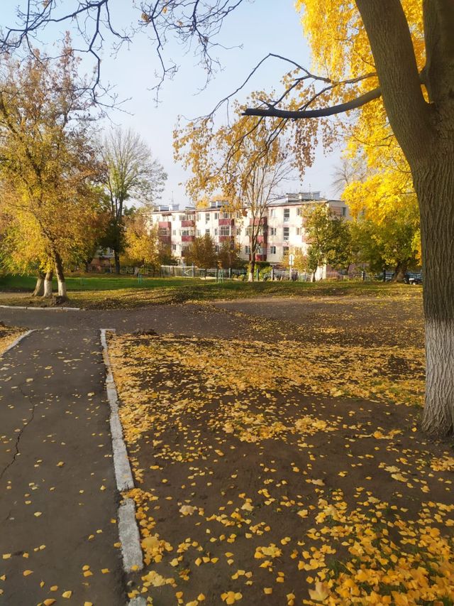 Territory