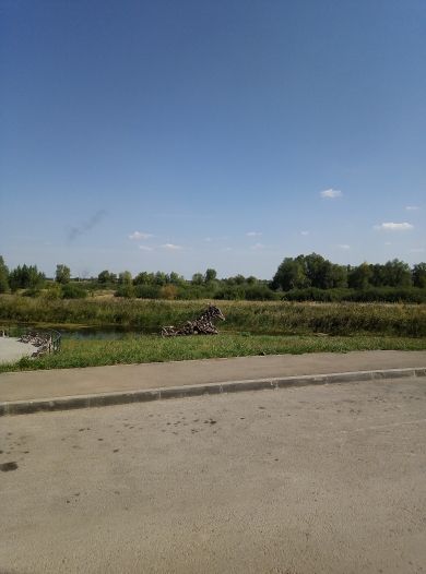 Territory