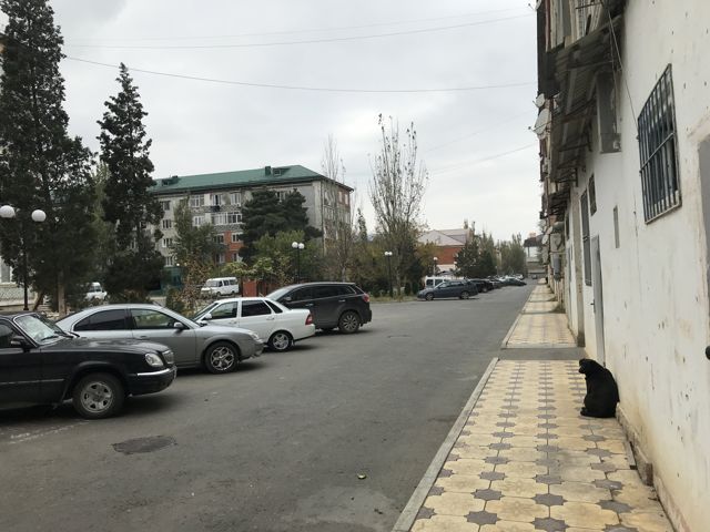Territory