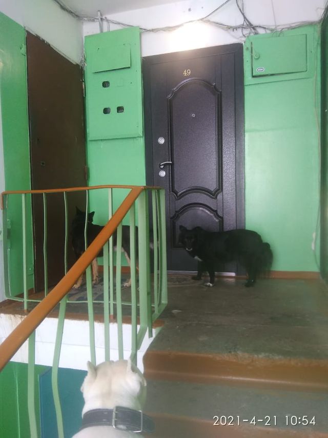 EntranceInside
