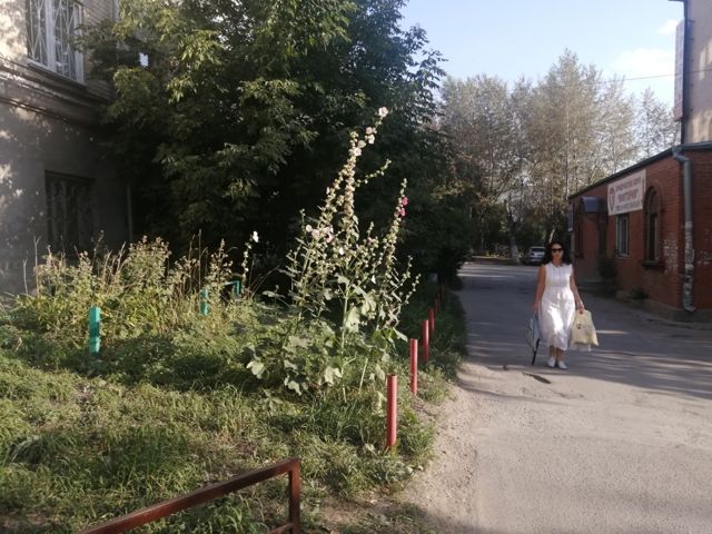 Territory