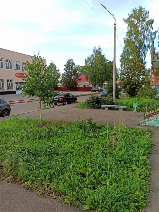 Territory