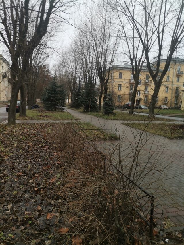 Territory