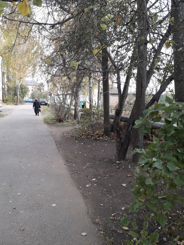 Territory