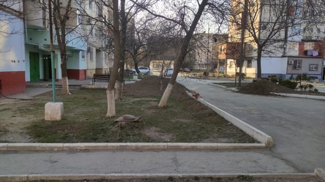Territory