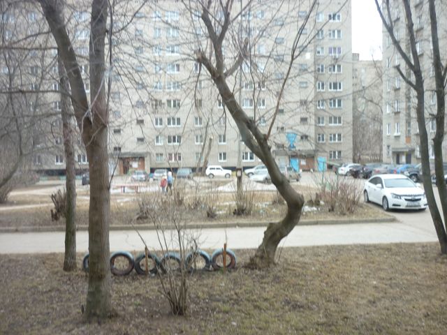Territory