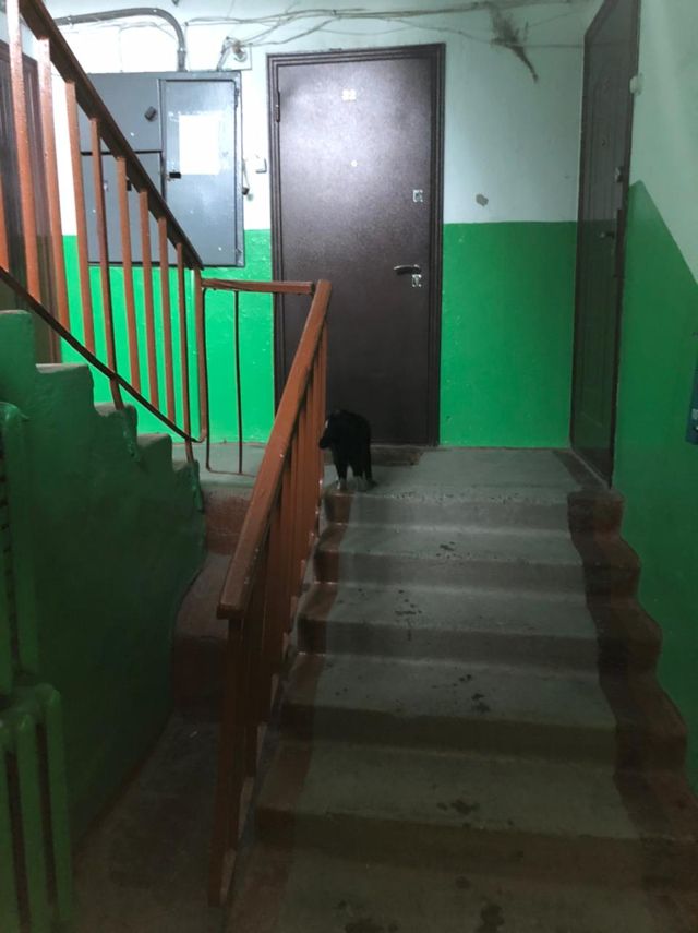 EntranceInside