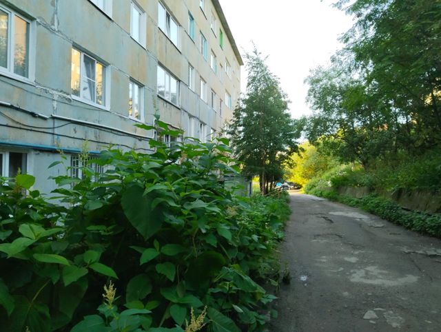 Territory