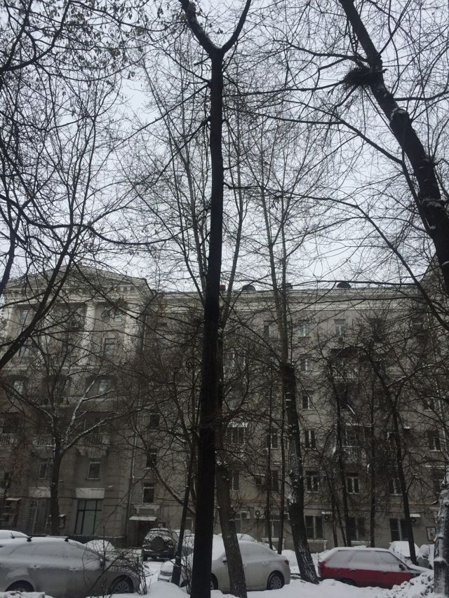 Панорама дома