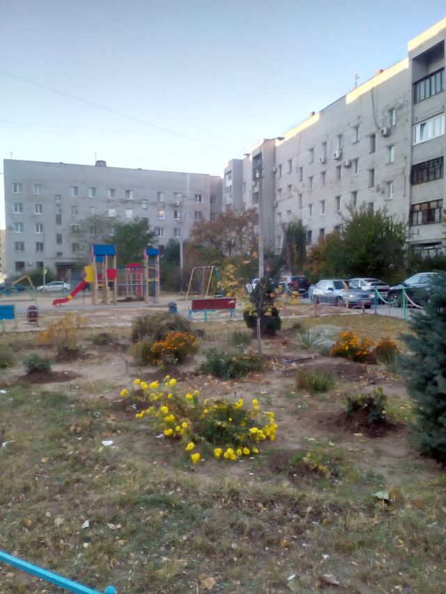 Territory