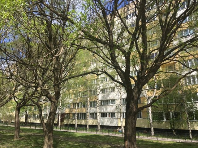 Панорама дома