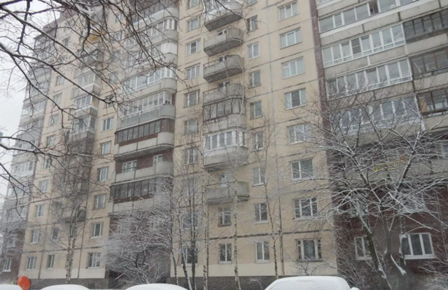 Панорама дома