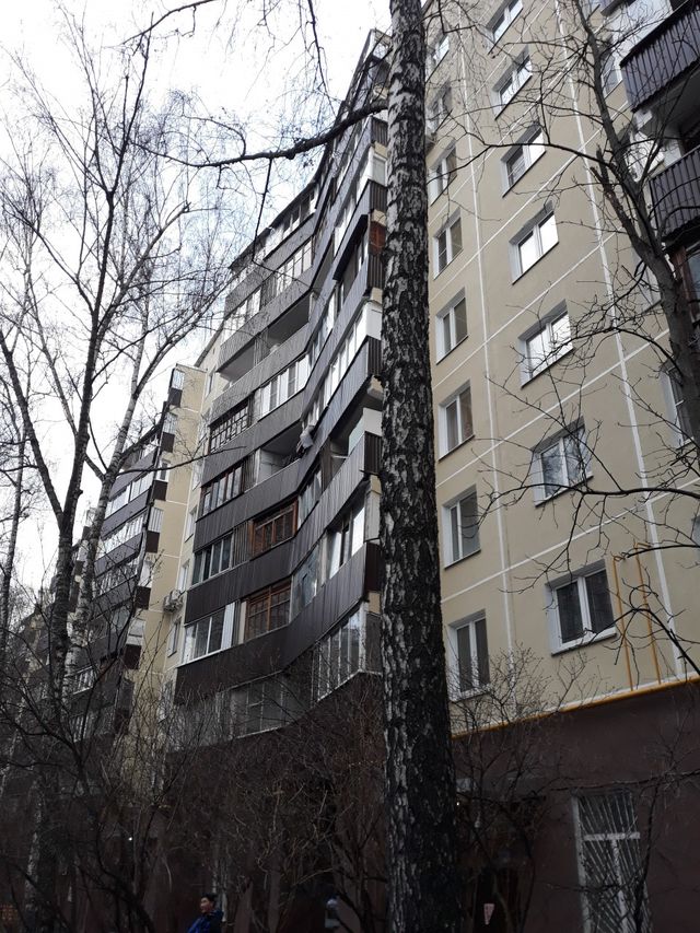 Панорама дома