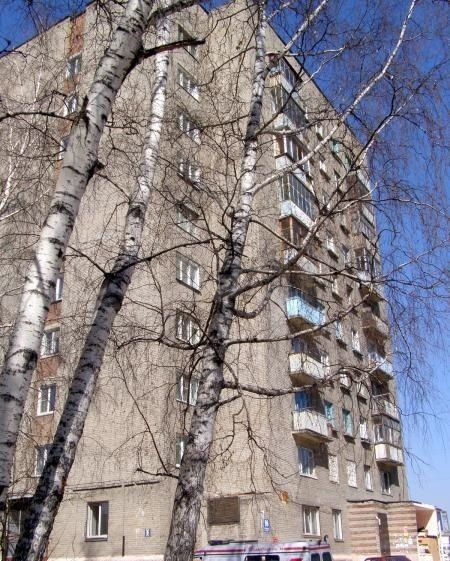 Панорама дома