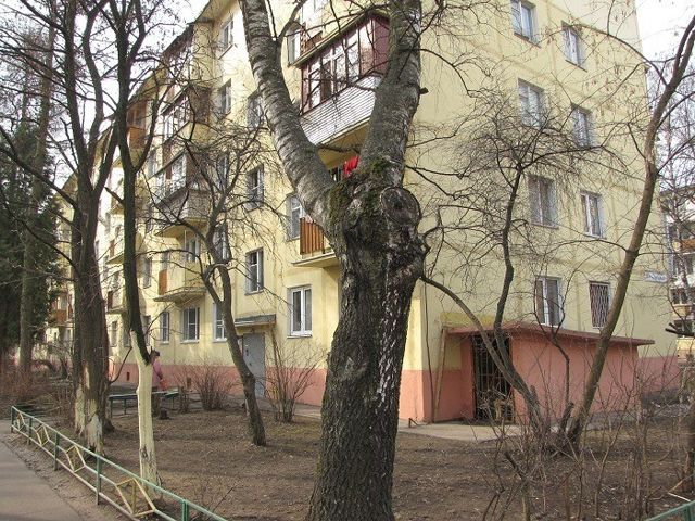 Панорама дома