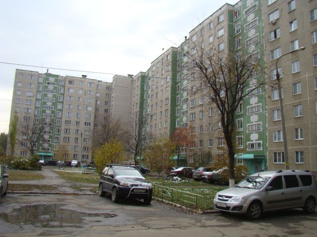 Панорама дома