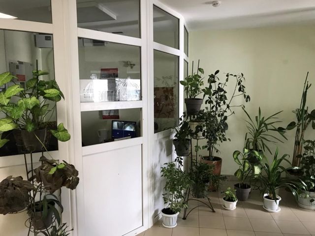 EntranceInside