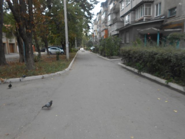 Territory