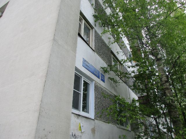 Панорама дома