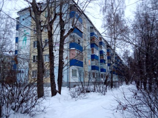 фото дома