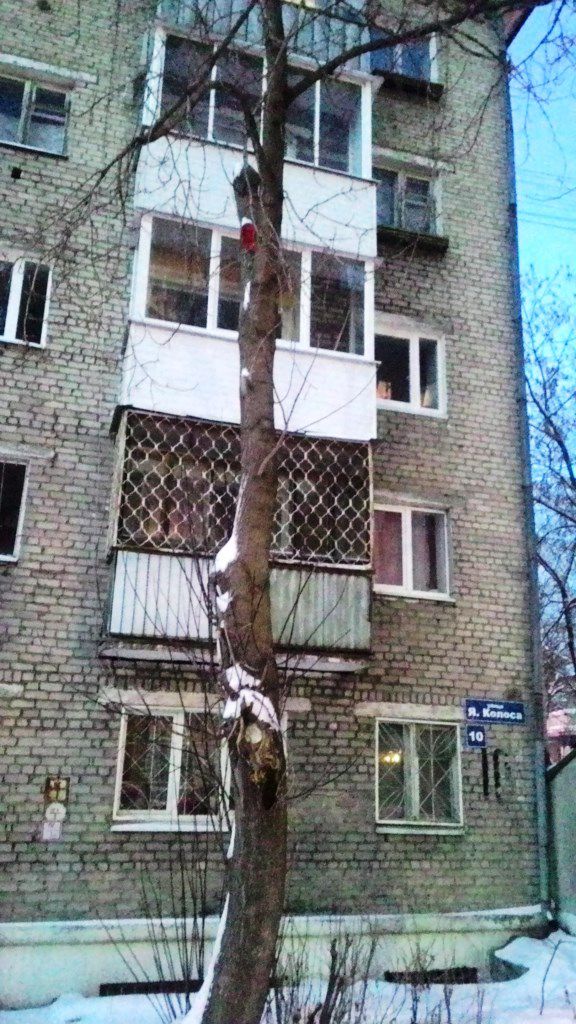 фото дома