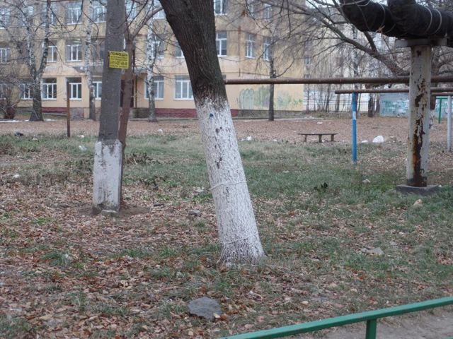 Territory