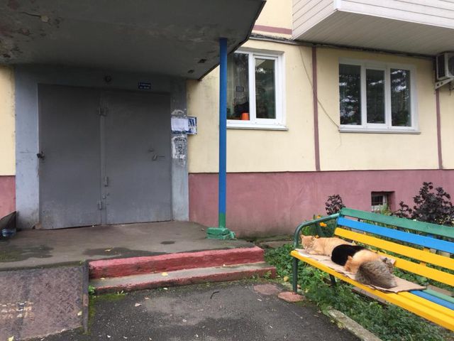 фото дома