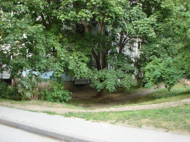 Панорама дома