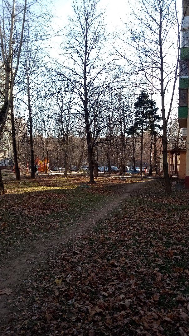 Territory