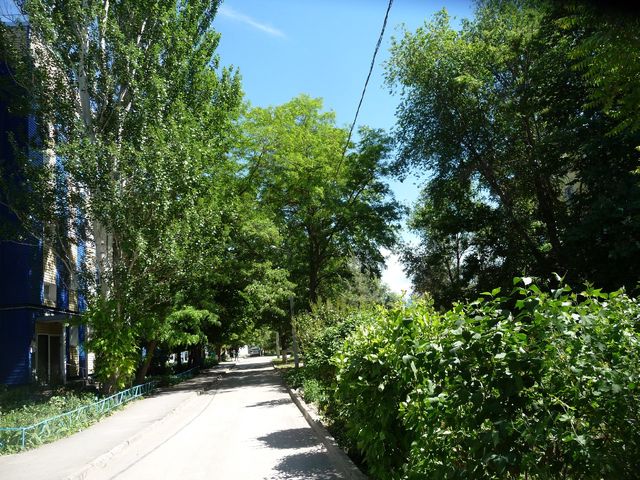 Territory