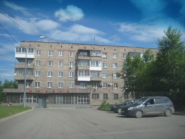 Панорама дома